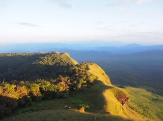 The Golden Grasslands Amidst the Mountains of Chiang Mai.