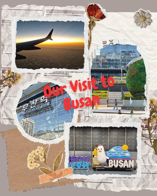 Why You Should Visit Busan