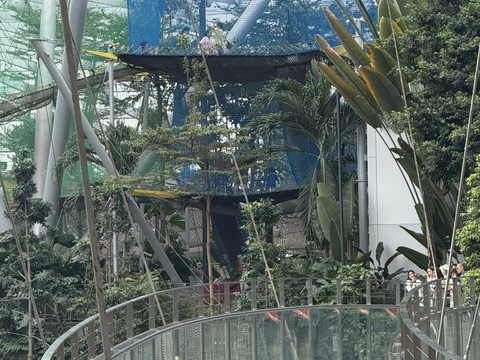 シンガポール・チャンギ空港 ジュエル（Jewel Changi Airport） 世界