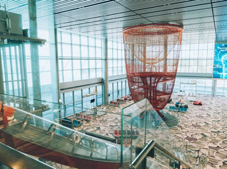 #arrivalguide  

just landed in Singapore and here’s why Changi Airport is way more than your average arrival spot! ✈️🌴

Top Spots to Visit at Singapore Changi Airport:
1. Jewel Changi (78 Airport Blvd, Singapore 819666, 24hrs): Insta-famous for its Rain Vortex—the world’s largest indoor waterfall. Snap pics, grab coffee, or chill in the lush gardens.
2. Butterfly Garden (Terminal 3, Departure Transit, Level 2, 7am–11pm): Hundreds of butterflies and tropical greenery. Free entry if you’re transiting!
3. Sunflower Garden (Terminal 2, Departure Transit, Level 3, 6am–12am): Huge outdoor space bursting with sunflowers—perfect for a midday refresher.
4. Free Movie Theaters (Terminal 2 & 3, open 24hrs): Catch a film during your layover, totally free.
5. Swimming Pool (Terminal 1, Transit Hotel, 6am–12am): For just a few bucks you can swim with runway views—bring your swimsuit!

Personal Tips:
· Early morning or late-night arrivals? Jewel Changi is open 24/7 so you can explore anytime! 
· Changi’s WiFi is lightning fast, ideal if you need to book last-minute tickets on trip.com or check your transit info.
· Take advantage of the free relaxation zones—lounges, nap pods, massage chairs, all over the terminals.

How to Get Around:
Just follow the signboards—everything is connected via skytrains and moving walkways. Luggage storage is available if you want to explore hands-free.

Food Recommendations:
Don’t miss the local food courts for Singaporean eats like kaya toast or laksa. For quick bites: Toast Box (Terminal 3, Level 2), and Shake Shack at Jewel.

Key Tips:
No visa needed if you’re just transiting for most nationalities; summer-like weather year-round—dress light!

#SingaporeTravel  #ChangiAirport  #JewelChangi  #AirportAdventures  #tripdotcom 