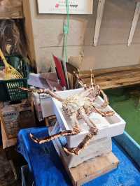 北海道小樽「鱗友朝市」海鮮攻略 🦀 超高 CP 值朝市食堂魚生飯＋三大名蟹（長腳蟹/毛蟹/花咲蟹）實測避坑指南！