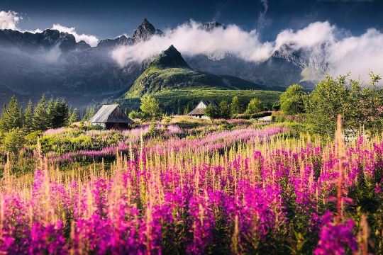 美品 TATRAS 🍂🏔️ Colourful Tatra Mountains | Where Autumn Paints the Peaks
