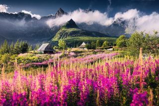 🍂🏔️ Colourful Tatra Mountains | Where Autumn Paints the Peaks 🇵🇱🇸🇰