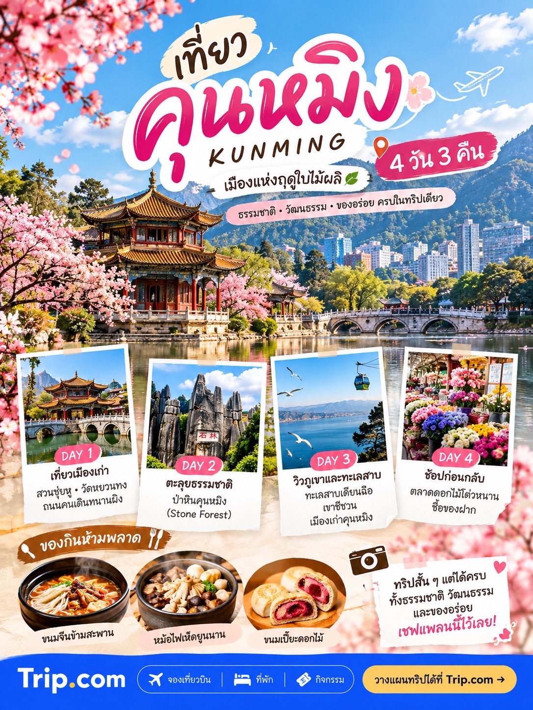 4D3N Kunming: Exploring the City of Eternal Spring 🌸
