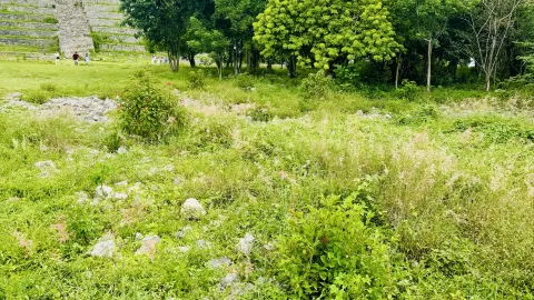 Izamal Meksiko: Panduan Lengkap Sejarah dan Transportasi Piramida Kinich Maya yang Misterius — traveler post in Merida