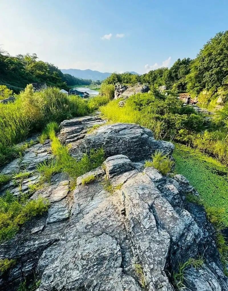 Explore Nagatoro Iwadatami! Your Ultimate Guide to Chichibu’s Natural Wonder and Seasonal Photo Ops.