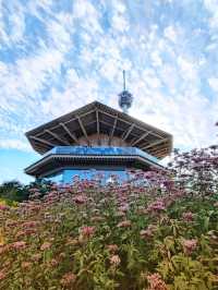 Fuji Mt Observatory in Shizuoka 🗻 