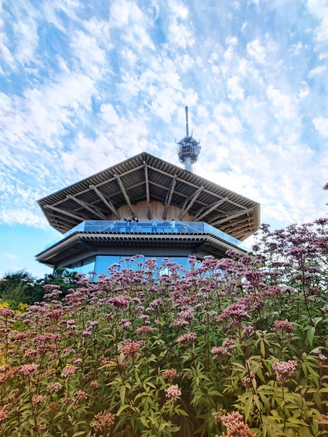 Fuji Mt Observatory in Shizuoka 🗻 