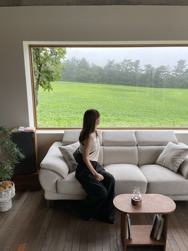 모든것이 갖춰진 숲뷰의 감성숙소, 경주 ‘유온’🤎