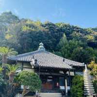 【静岡県🇯🇵下田】歴史に触れる📚旅