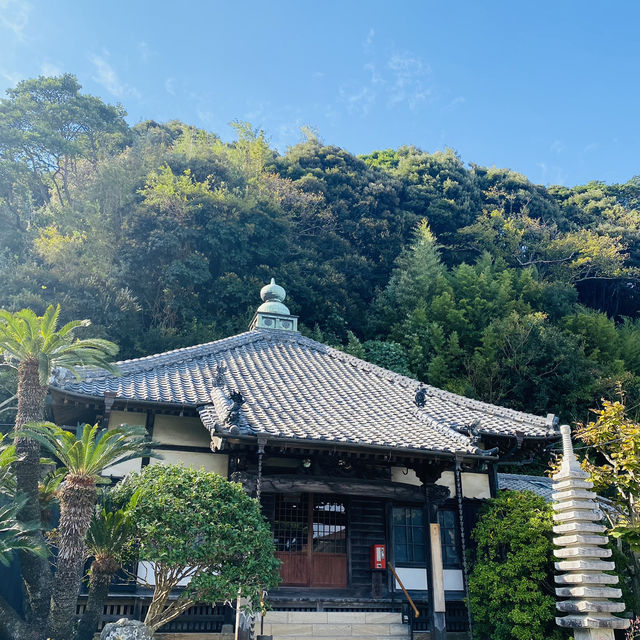 【静岡県🇯🇵下田】歴史に触れる📚旅