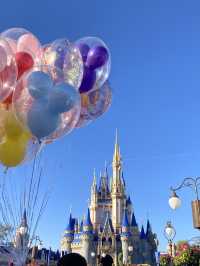 1 Day Itinerary in Orlando