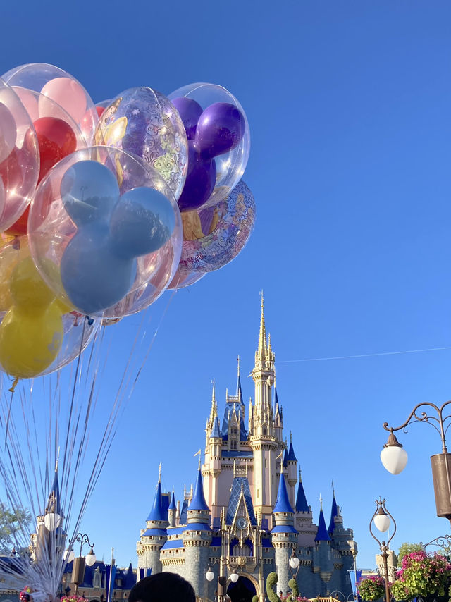 1 Day Itinerary in Orlando