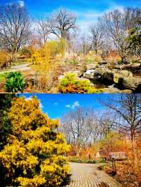 麥迪遜Olbrich Botanical Gardens (奧爾布里希植物園)