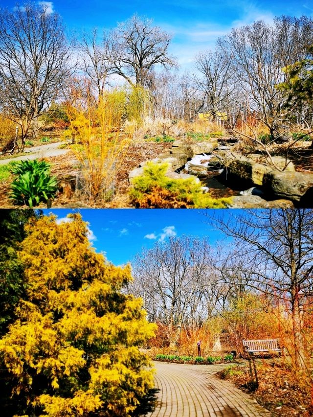 麥迪遜Olbrich Botanical Gardens (奧爾布里希植物園)