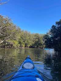 Dolphin Sanctuary Kayak Tour Adelaide