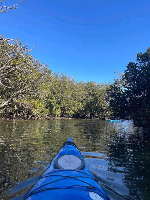 Dolphin Sanctuary Kayak Tour Adelaide