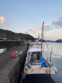 🐟高知の秘境アイランド🇯🇵【鵜来島（うぐるしま）】海に癒される旅
