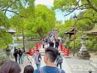 【福岡太宰府天滿宮】意外驚喜之旅