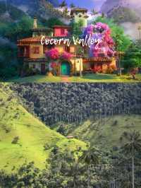 🌟走進《魔法滿屋》的一天｜La Carbonera & Cocora Valley 棕櫚樹仙境攻略 🇨🇴