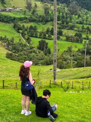 Salento's Enchanting Wax Palm Forest in Colombia