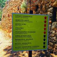 Shades of Indiana Jones
