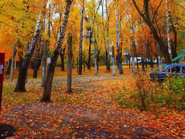 Beautiful autumn scene at Park Kyoto 🗺️