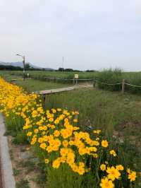 Quietness of Sky park (‘Haneul’ Park) 