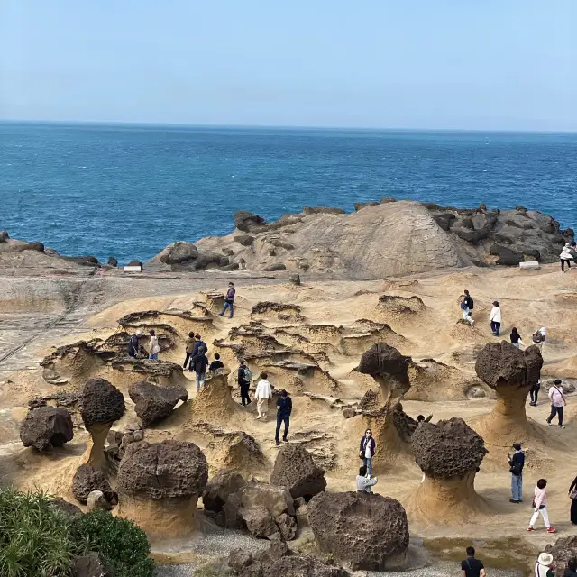 🌎Gorgeous geopark 🗿to see in Taiwan