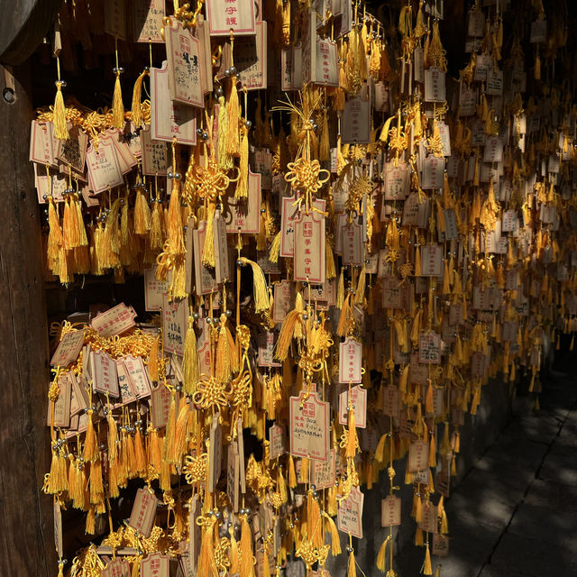 Wuzhen - the beauty of the past 🇨🇳