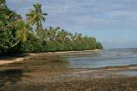 Hidden Gem of the Pacific: Taveuni