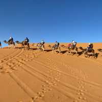 Incredible Sahara 🐪🌵 