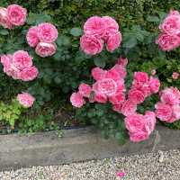 科隆納宮花園與噴泉
