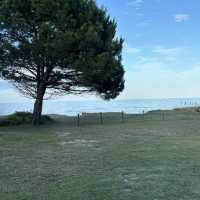 Amazing place 