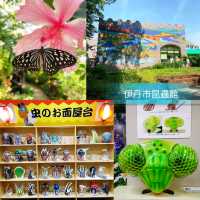 🐛伊丹市昆蟲館🐝日本標本數量最多的展覽