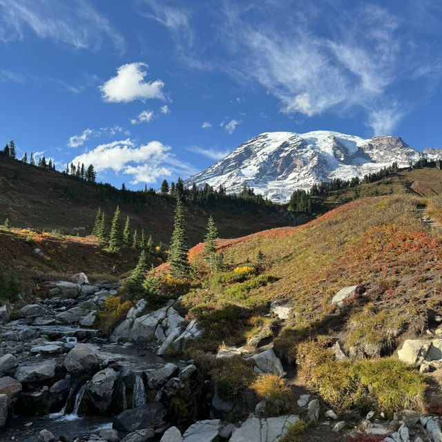 4-Day Road Trip Through Oregon & Washington State 🚗✨