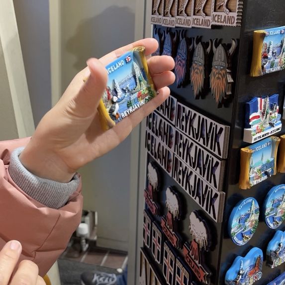 아이슬란드 대표 마스코트, 퍼핀🐧