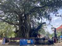 Global Harmony at the Ashram