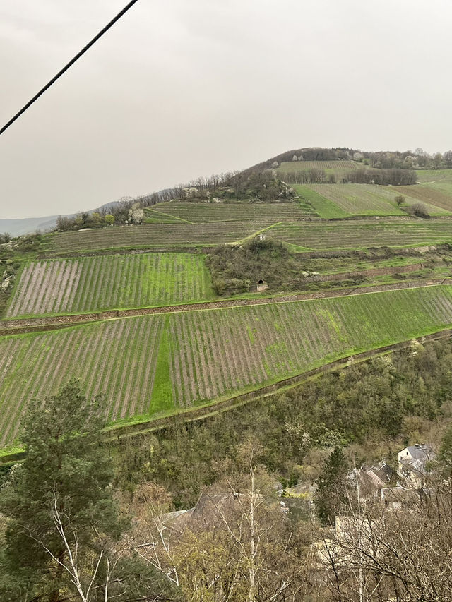 德國紅酒小鎮Assmannshausen～坐纜車欣賞萊茵河