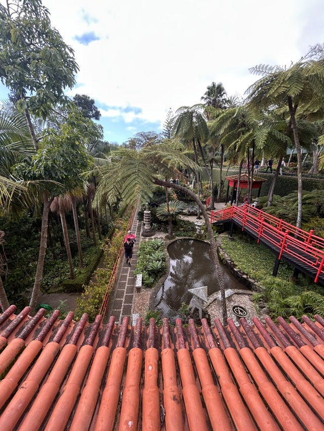 A tropical paradise