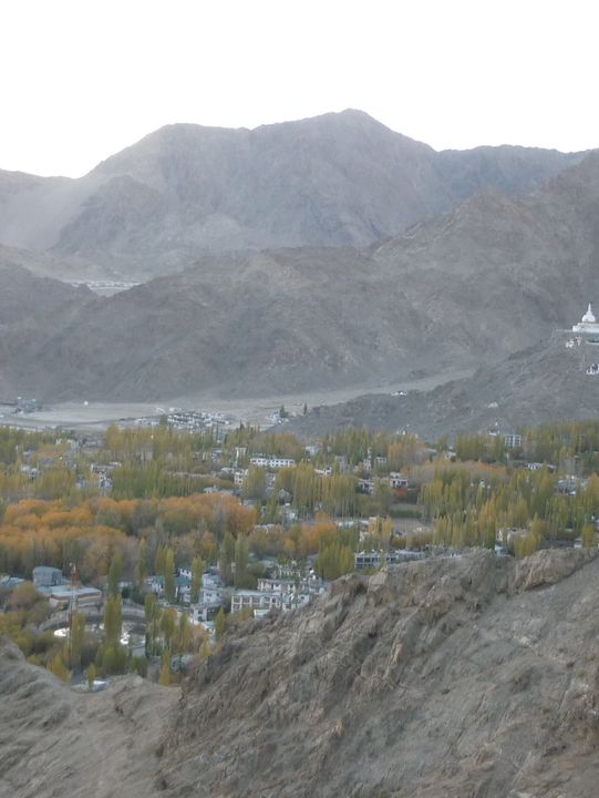 Namgyal Tsemo: The Ancient Fortress on Tsemo Hill