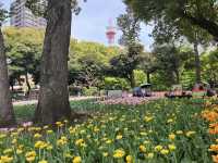 【横浜公園】