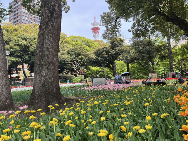【横浜公園】