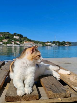 Elaphiti Islands, a perfect day trip from Dubrovnik!