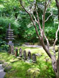 Spring Serenity at Hokoku-ji