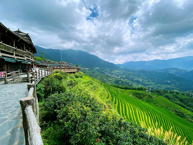 🌾 Stairway to Heaven: LongJi’s Golden Rice Terraces 🌄
