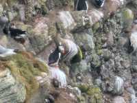 Stonehaven Day Trip