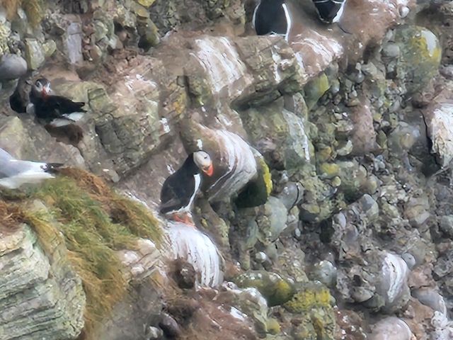 Stonehaven Day Trip