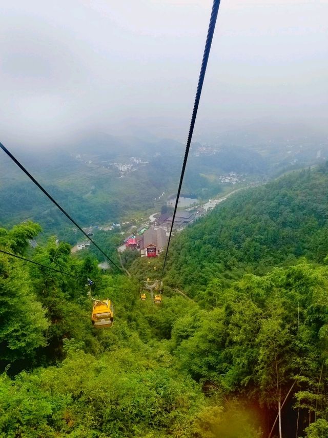 Wugongshan: Sea of Clouds & Alpine Dreams🏔🏞
