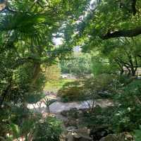 Little parks in Shanghai, little water worlds in the heart of the city